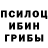 Галлюциногенные грибы Cubensis TikTuk
