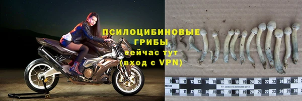 сатива Лабытнанги