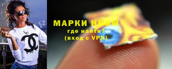 сатива Лабытнанги