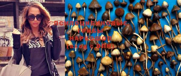 прущие крисы Новосибирск