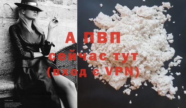 бошки Лагань