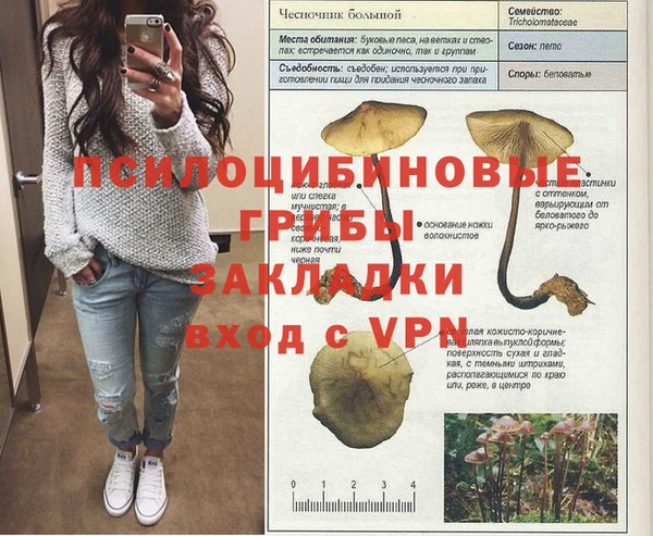 мяу мяу кристалл Ладушкин