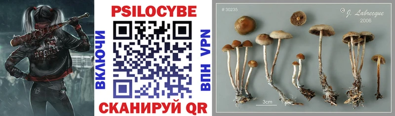 Псилоцибиновые грибы Magic Shrooms  Мелеуз 